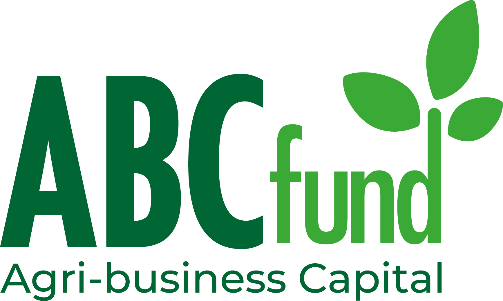 ABC Fund