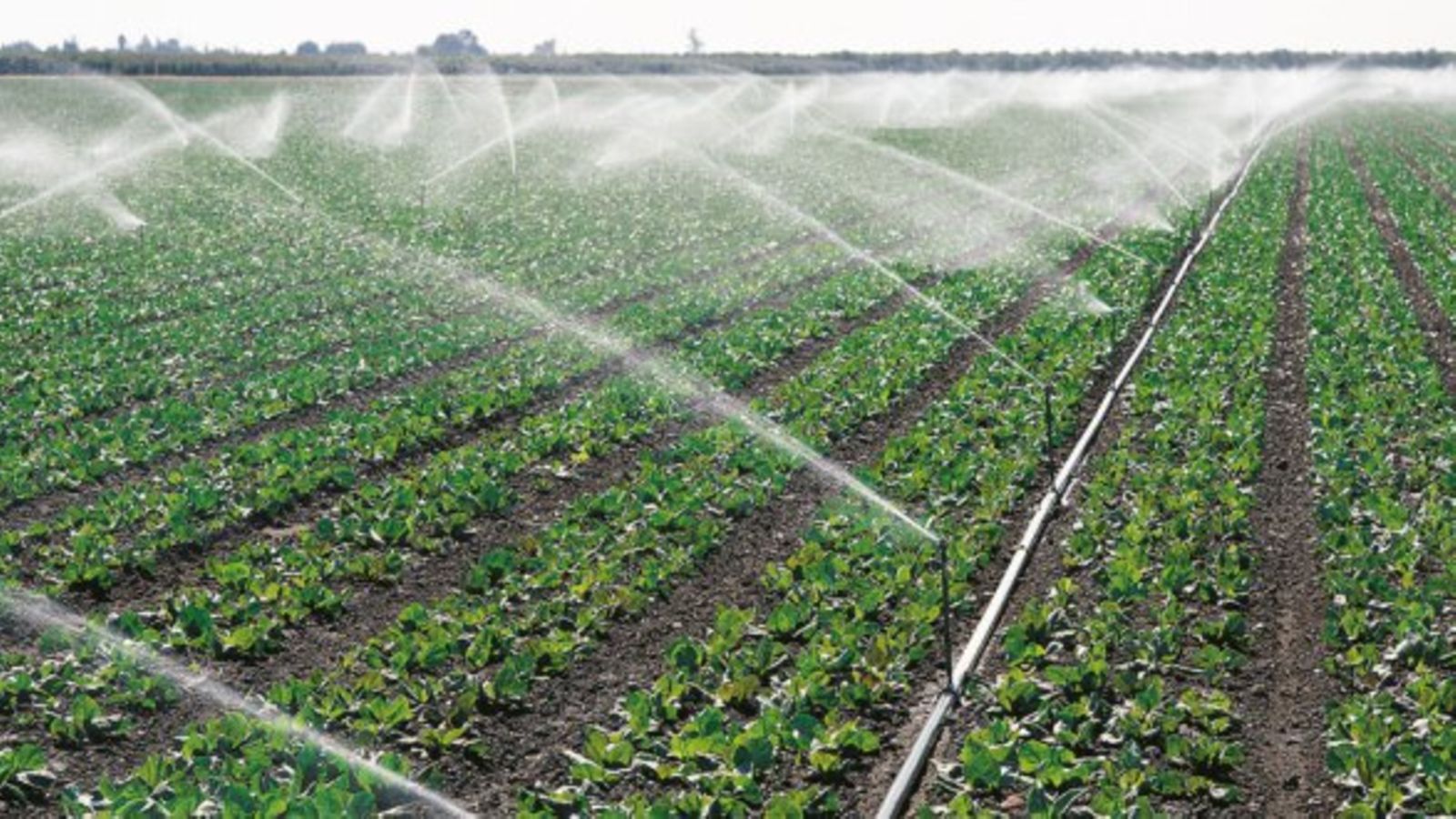 Irrigation Scheme