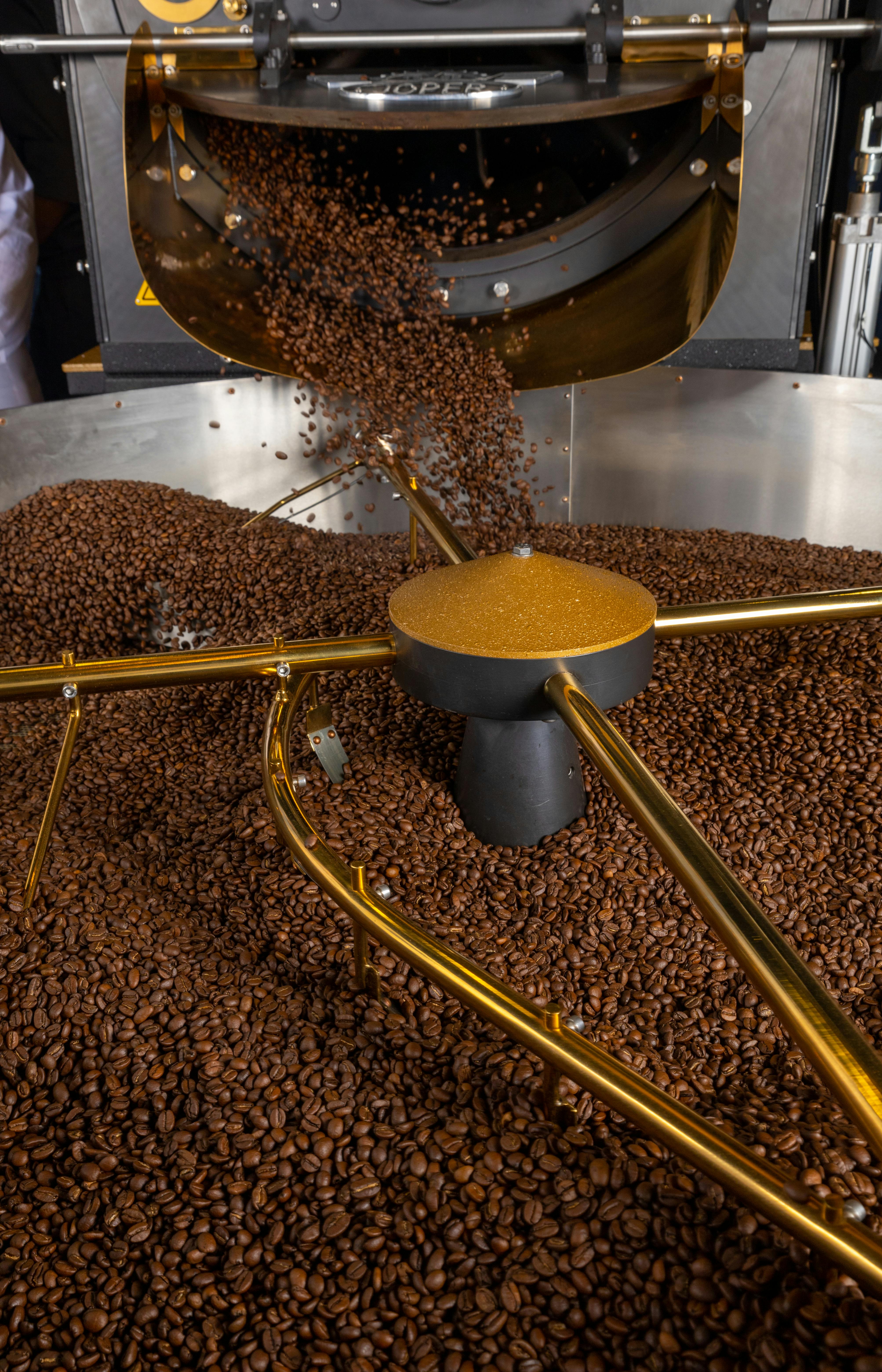 Coffee Processing